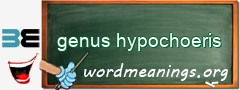 WordMeaning blackboard for genus hypochoeris